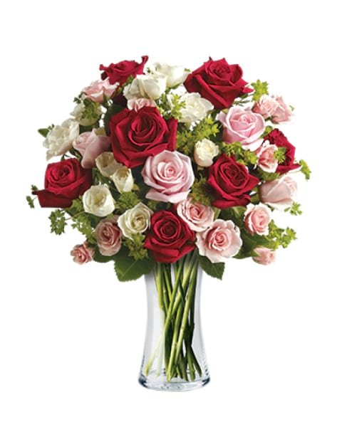 Cupid`s Creation