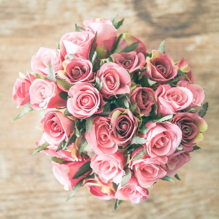 Pink Roses